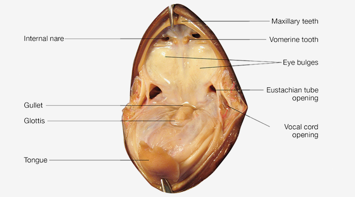 Biology 2